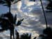 DSCN0636ss