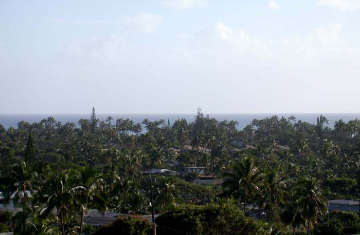 coconutgrove786