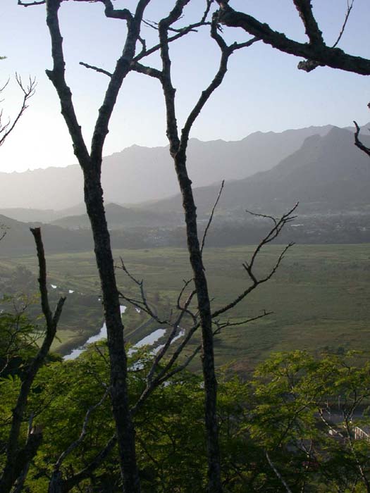 mt.olomana767