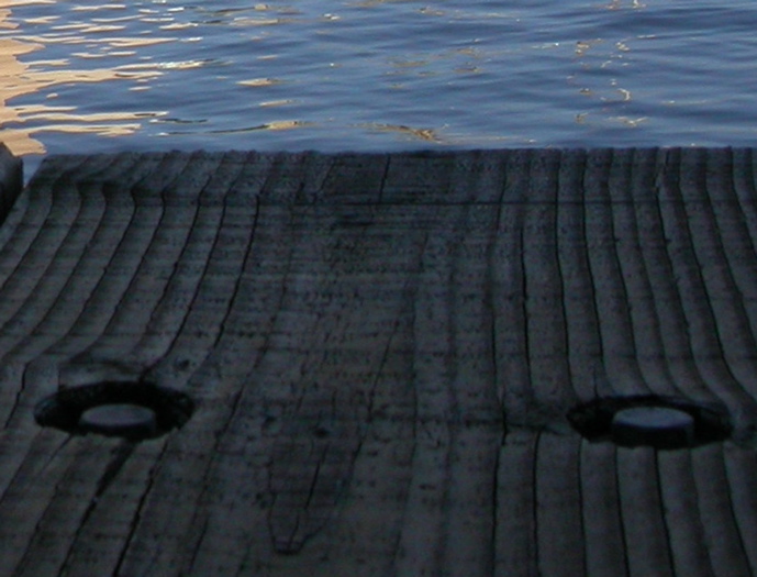 DSCN1264x3
