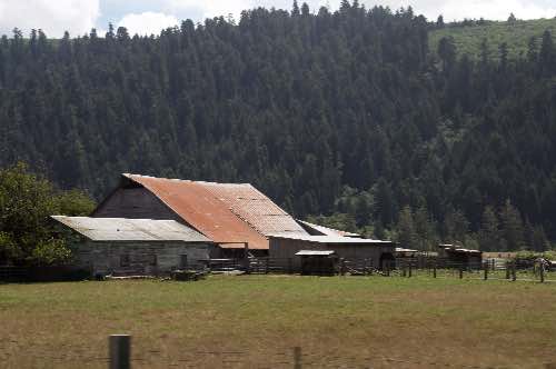 DSC_0081.jpg