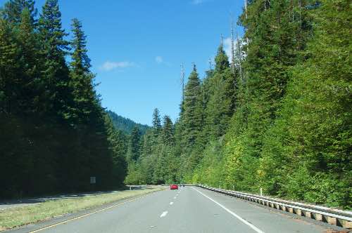 DSC_0026.jpg