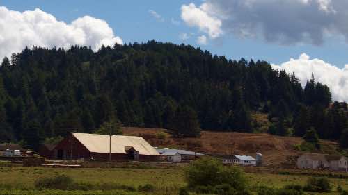 DSC_0044.jpg