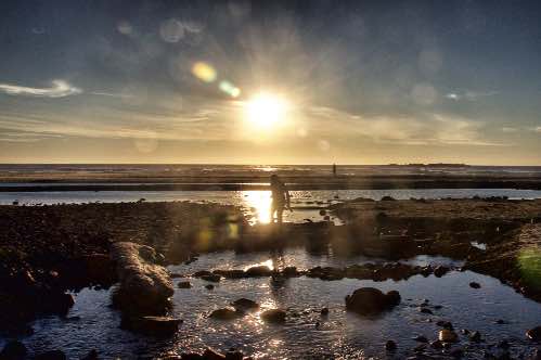 DSC_0277_Snapseed.jpg