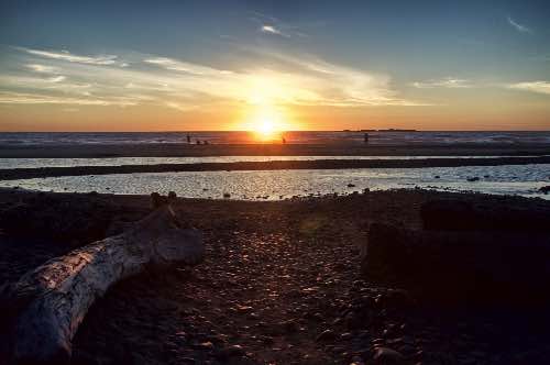 DSC_0370_Snapseed.jpg