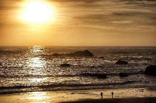 DSC_0029_Snapseed.jpg