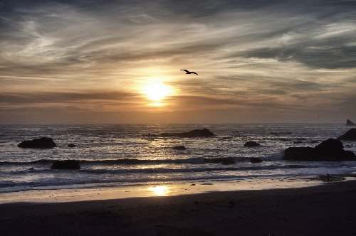 DSC_0056_Snapseed.jpg