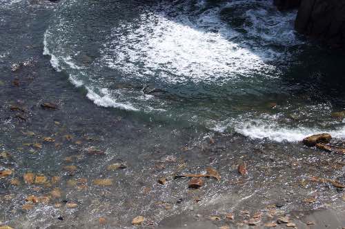 DSC_0234.jpg