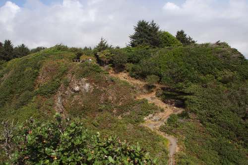 DSC_0237.jpg