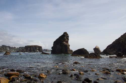 DSC_0247.jpg