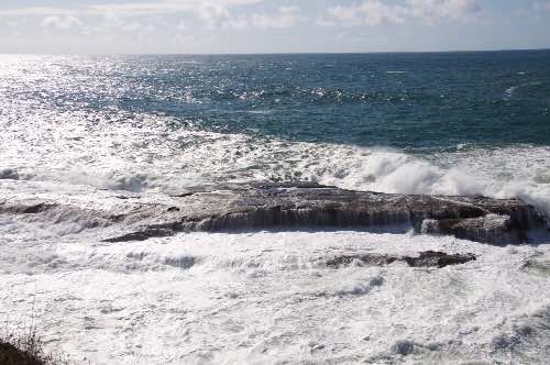 DSC_0094.jpg