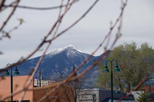 DSC_0264.jpg