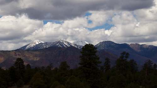 DSC_0230.jpg
