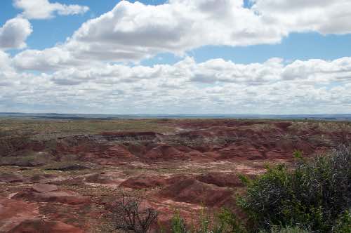 DSC_0081.jpg