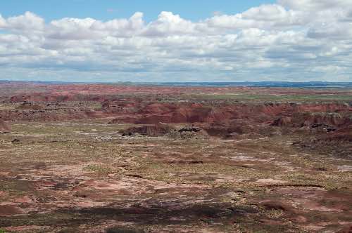 DSC_0083.jpg