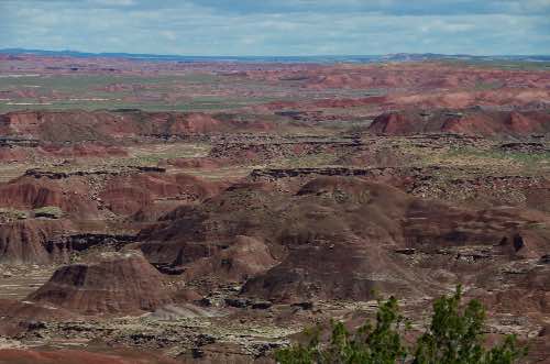 DSC_0089.jpg
