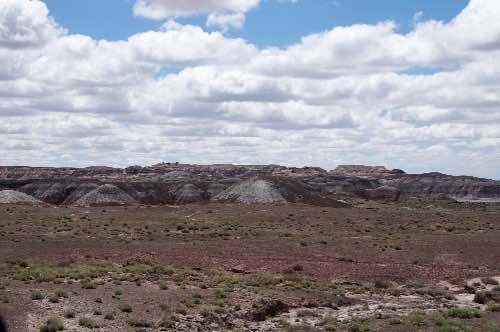 DSC_0106.jpg