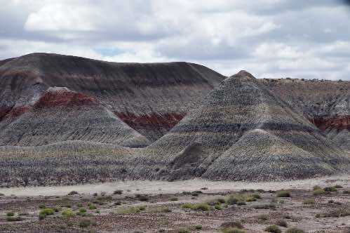 DSC_0115.jpg