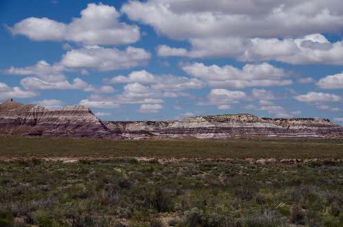 DSC_0116.jpg