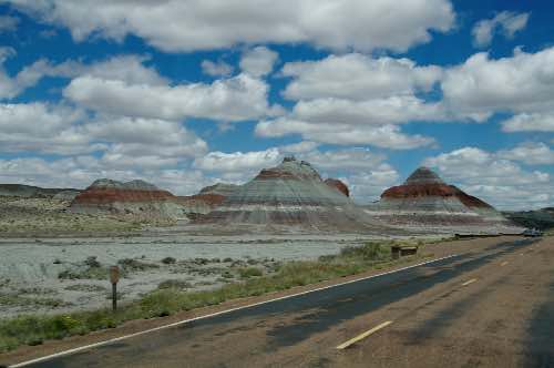 DSC_0177.jpg