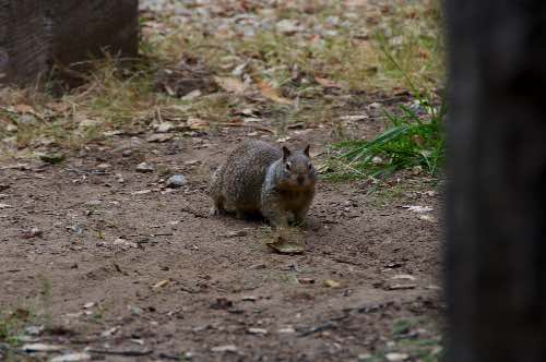 DSC_0173.jpg