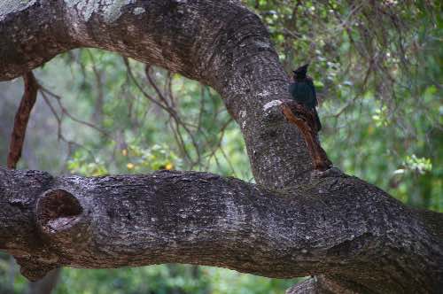 DSC_0175.jpg