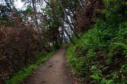 DSC_0251.jpg