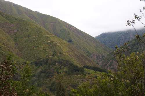 DSC_0254.jpg
