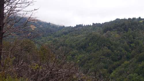 DSC_0256.jpg
