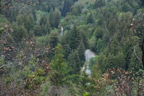DSC_0265.jpg
