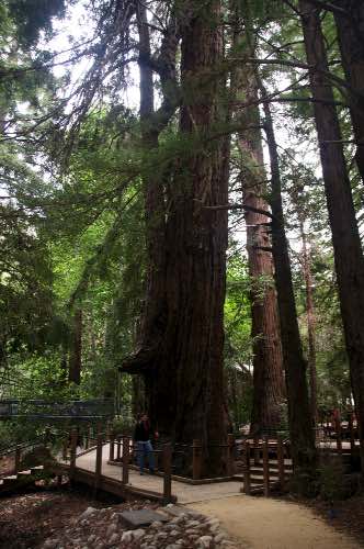 DSC_0202.jpg