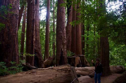 DSC_0212.jpg