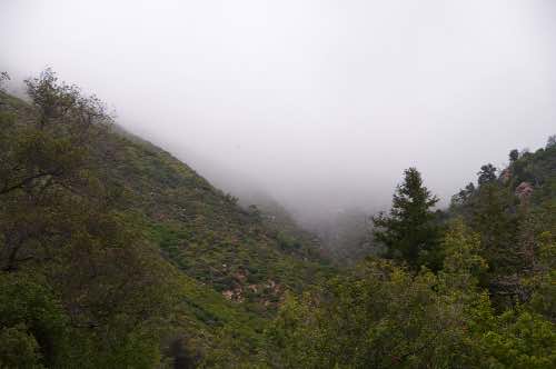 DSC_0215.jpg