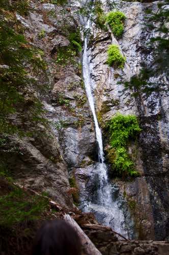 DSC_0222.jpg