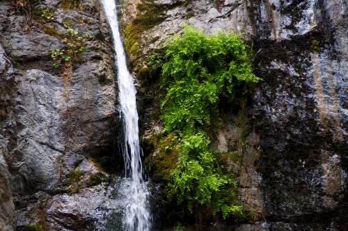 DSC_0223.jpg