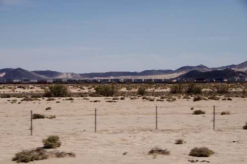 DSC_0102.jpg