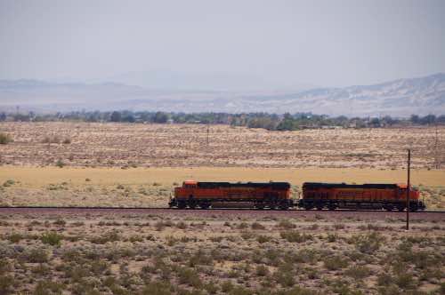 DSC_0113.jpg