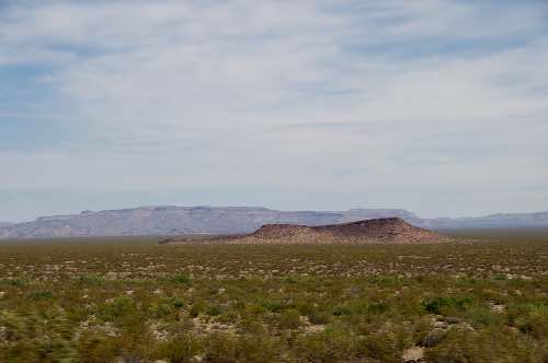 DSC_0065.jpg