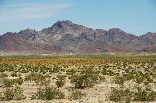DSC_0089.jpg
