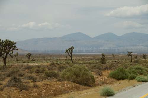 DSC_0175.jpg