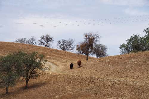 DSC_0248.jpg