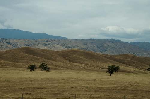 DSC_0249.jpg