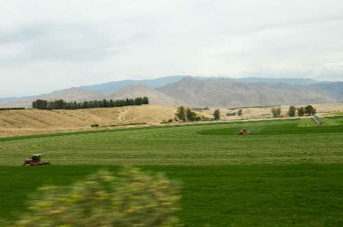 DSC_0255.jpg