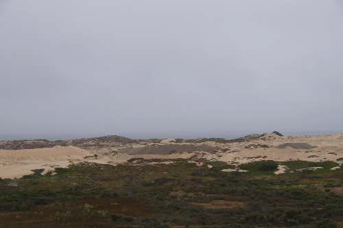 DSC_0004.jpg