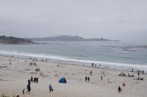 DSC_0087.jpg