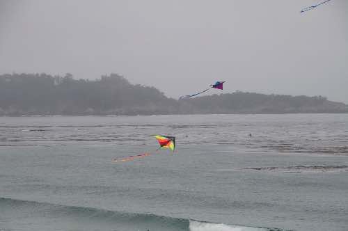 DSC_0091.jpg