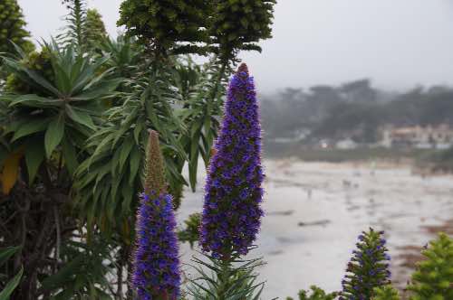 DSC_0116.jpg