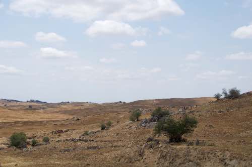 DSC_0139.jpg