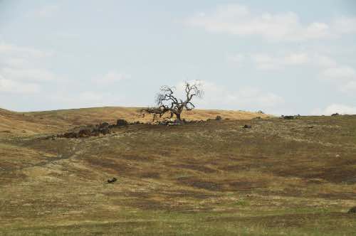 DSC_0140.jpg
