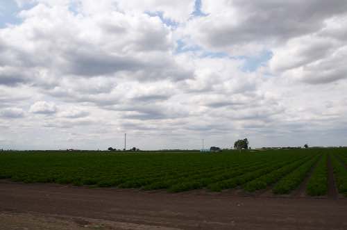 DSC_0155.jpg